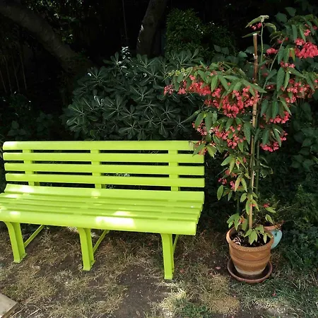 Venise Languedocienne *